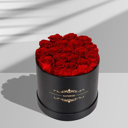 Handmade Preserved Roses in a Box, Long Lasting Black Roses, Preserved Flowers for Her