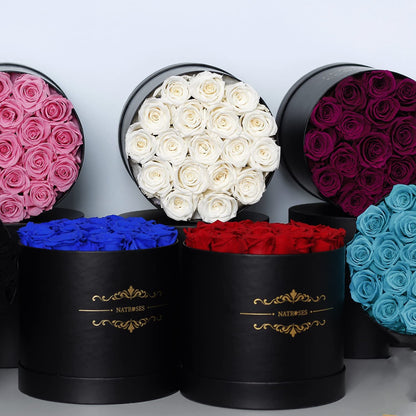 Handmade Preserved Roses in a Box, Long Lasting Black Roses, Preserved Flowers for Her